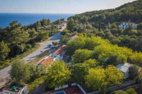 Apartments with a parking space Babino Polje, Mljet - 22319